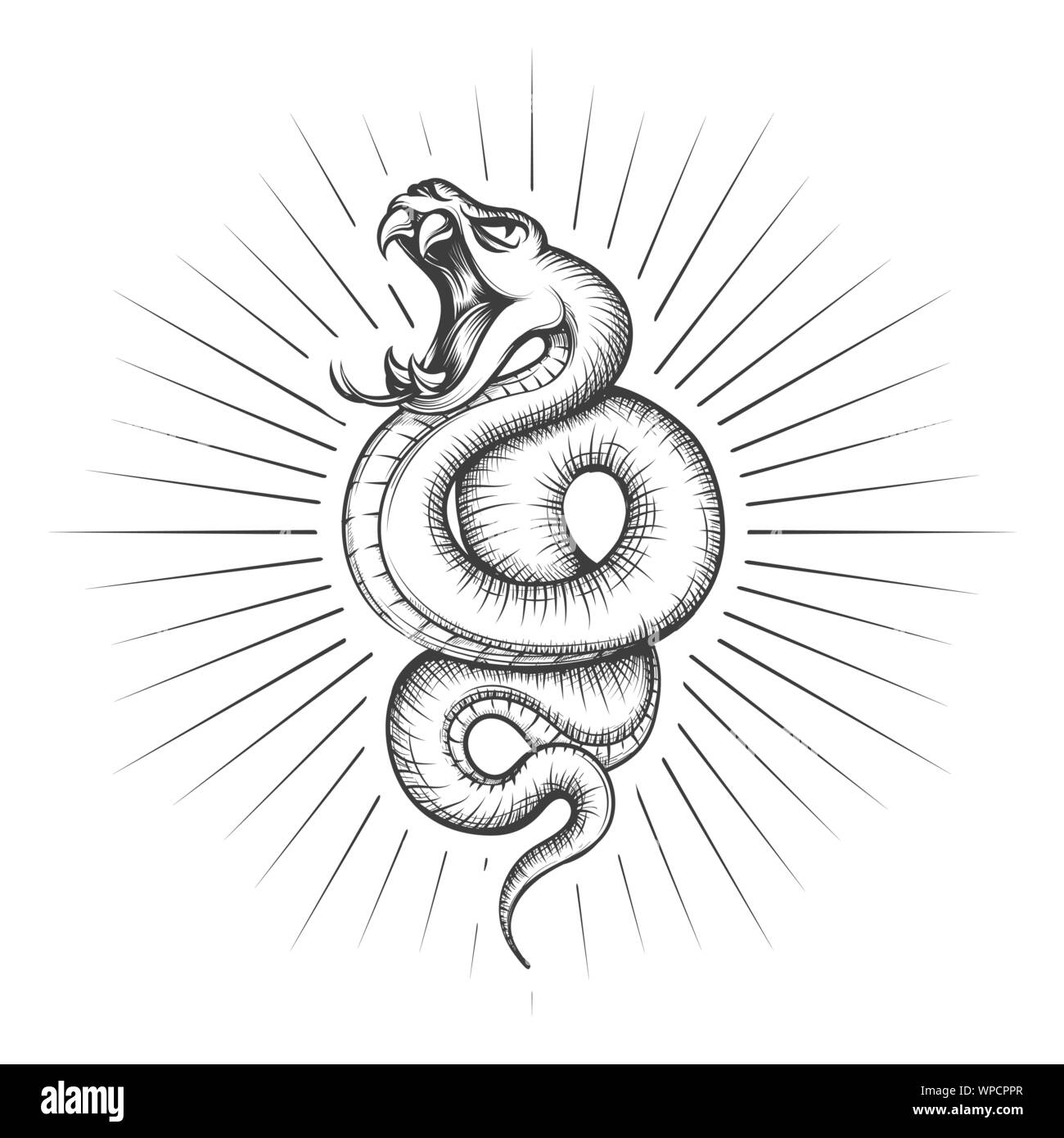 Rattlesnake snake tattoo illustrazione vettoriale. Disegno a mano