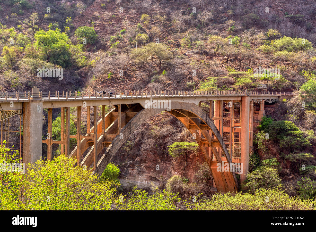 Vista del vecchio ponte che attraversa il fiume di montagna il Nilo Blu nei pressi di Bahir Dar, Etiopia. Foto Stock