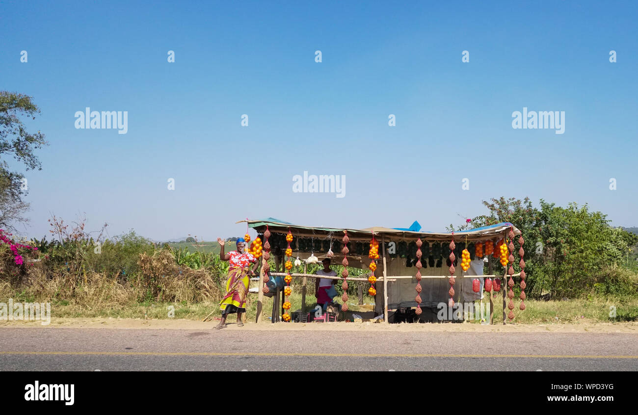 Le donne africane venditori ambulanti a frutta e verdura di stallo sul ciglio della strada a Mpumalanga, Sud Africa lavora come operatori informali in una piccola azienda Foto Stock