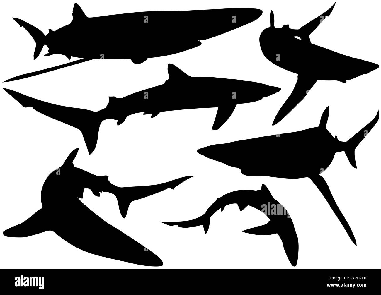 Blue Shark sagome Illustrazione Vettoriale