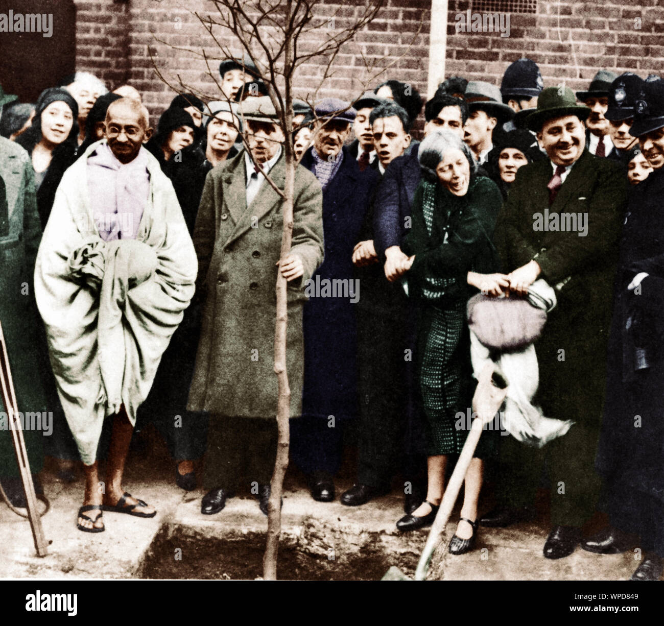 Il Mahatma Gandhi piantare nel giardino di Kingsley Hall, Inghilterra, 3 Dicembre 1931 Foto Stock