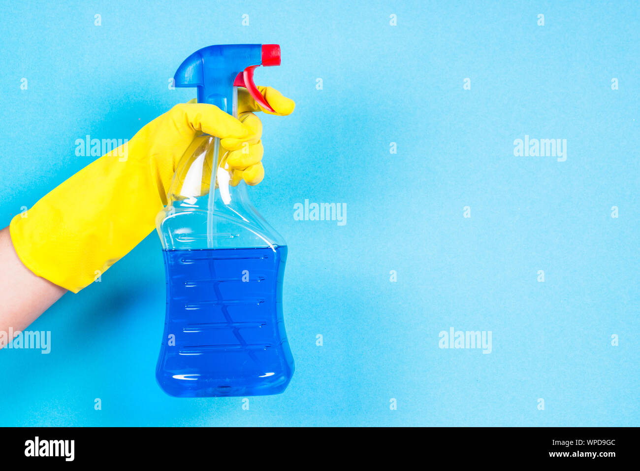 Mano in Guanti gialli attesa agente di pulizia bottiglia su sfondo blu. Foto Stock