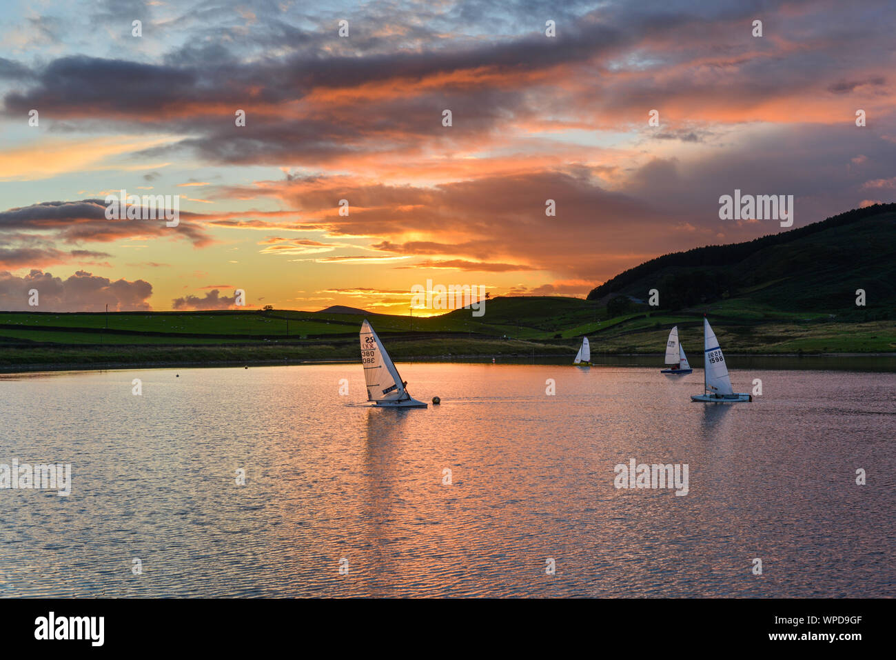 Vela sotto un tramonto (93) Foto Stock