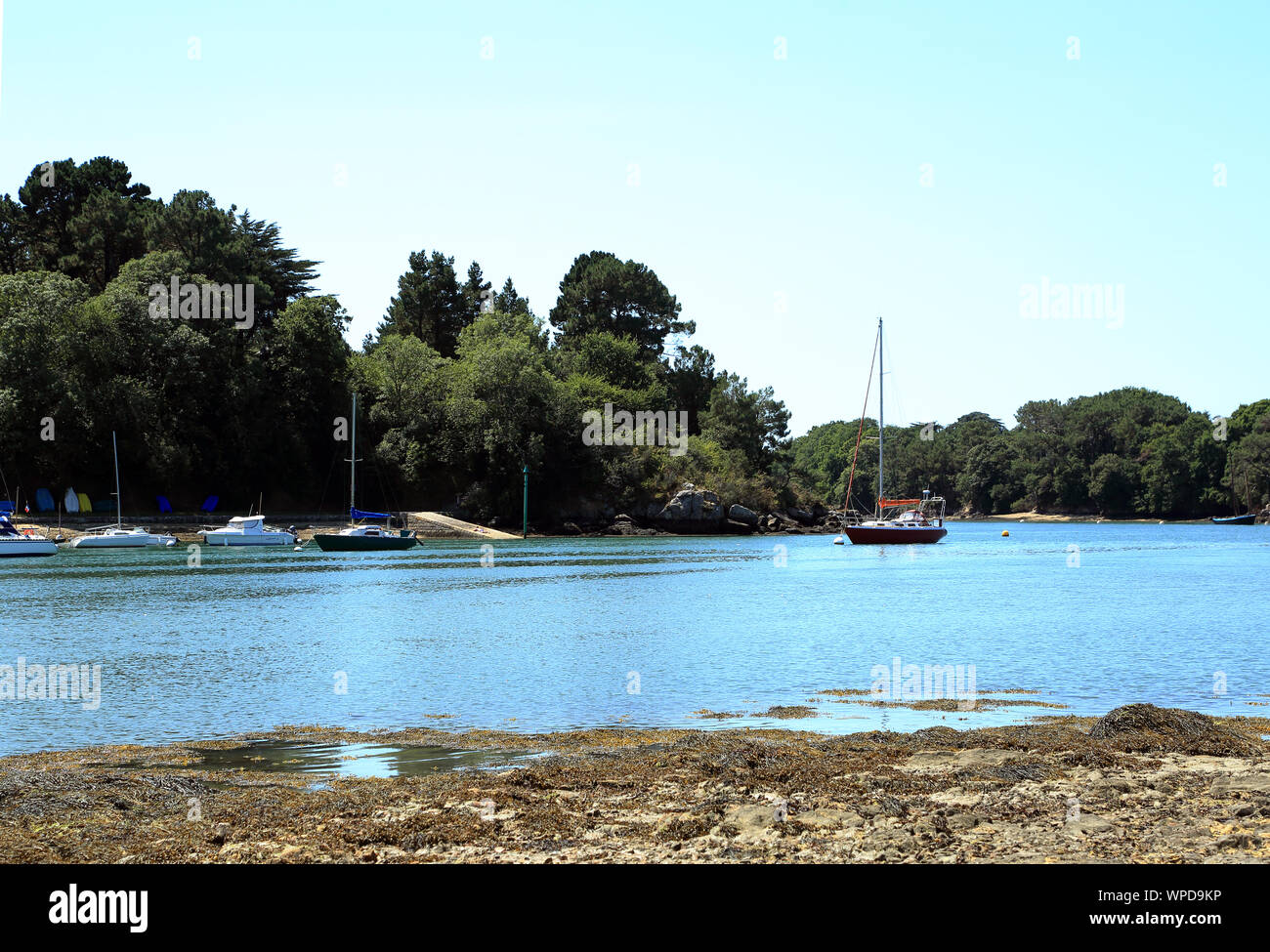 Vista su Porto Anna a bassa marea da Ile de Conleau, Vannes, Morbihan, in Bretagna, Francia Foto Stock