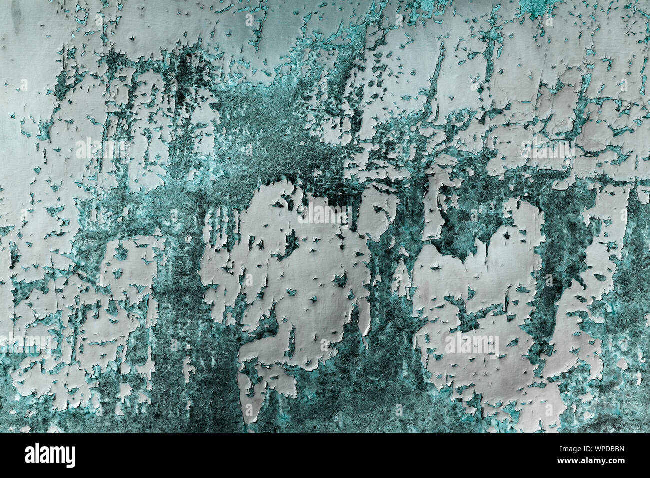 Porta a trama, ossidato. La vecchia porta in un villaggio rurale casa. Configurazione astratta texture. Foto Stock