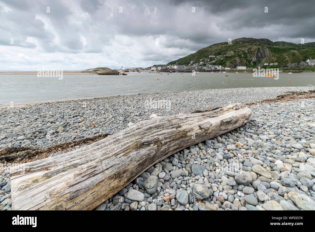 Mawddach estuary Gwynedd Galles Centrale guardando verso Barmouth con lavato fino log in primo piano Foto Stock Mawddach estuary Gwynedd Galles Centrale guardando verso Barmouth con lavato fino log in primo piano Foto Stock