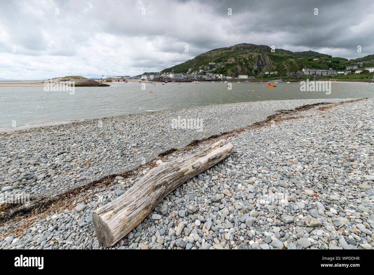 Mawddach estuary Gwynedd Galles Centrale guardando verso Barmouth con lavato fino log in primo piano Foto Stock Mawddach estuary Gwynedd Galles Centrale guardando verso Barmouth con lavato fino log in primo piano Foto Stock