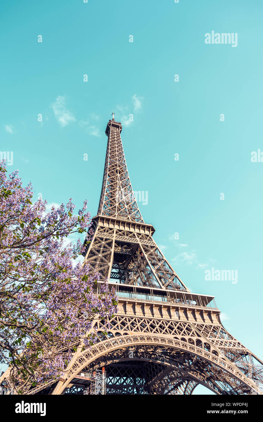 L'unico iconico famosa torre Eiffel con molla albero fioritura, come un simbolo e un punto di riferimento principale di Parigi e il francese genio inventivo in histor Foto Stock
