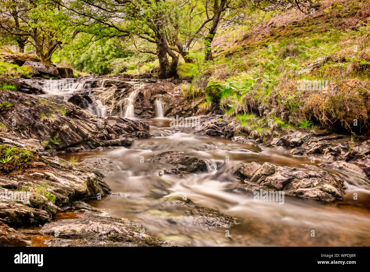 Il fiume Eiddew sopra Lake Vyrnwy, Powys, Wales, Regno Unito. Foto Stock