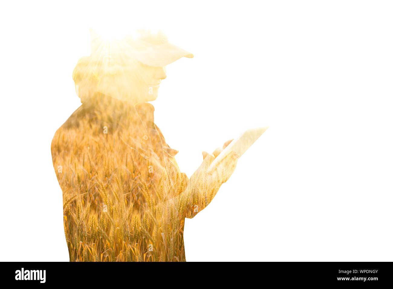 Contadina con la compressa. Doppia esposizione con campo di grano. Smart allevamento e agricoltura digitale concetto. Foto Stock
