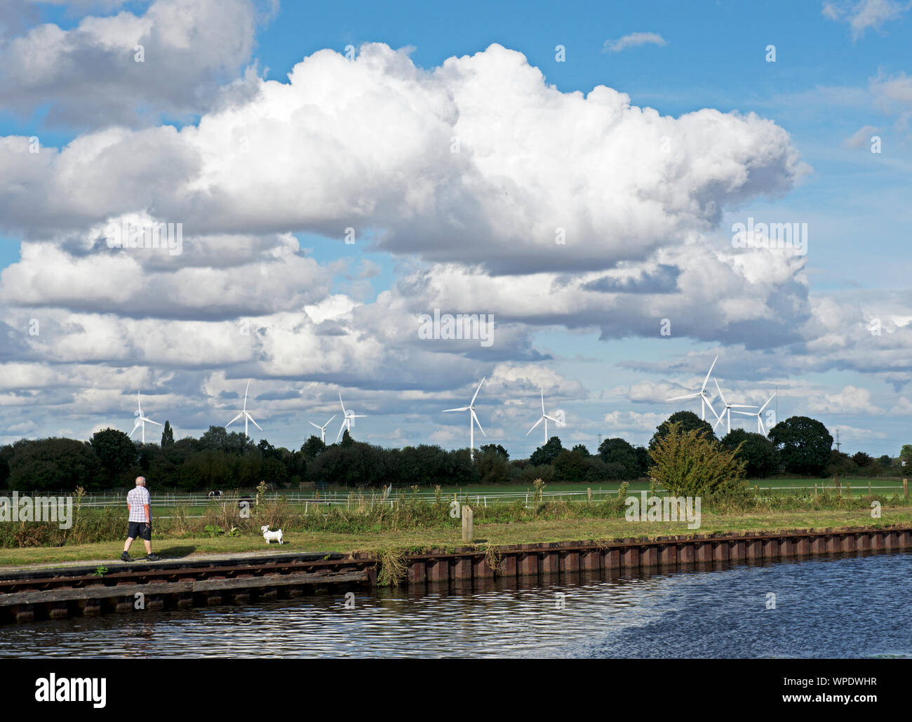 Uomo che cammina cane sulla strada alzaia del Stainforth e Keadby Canal, Thorne, South Yorkshire, Inghilterra, Regno Unito Foto Stock
