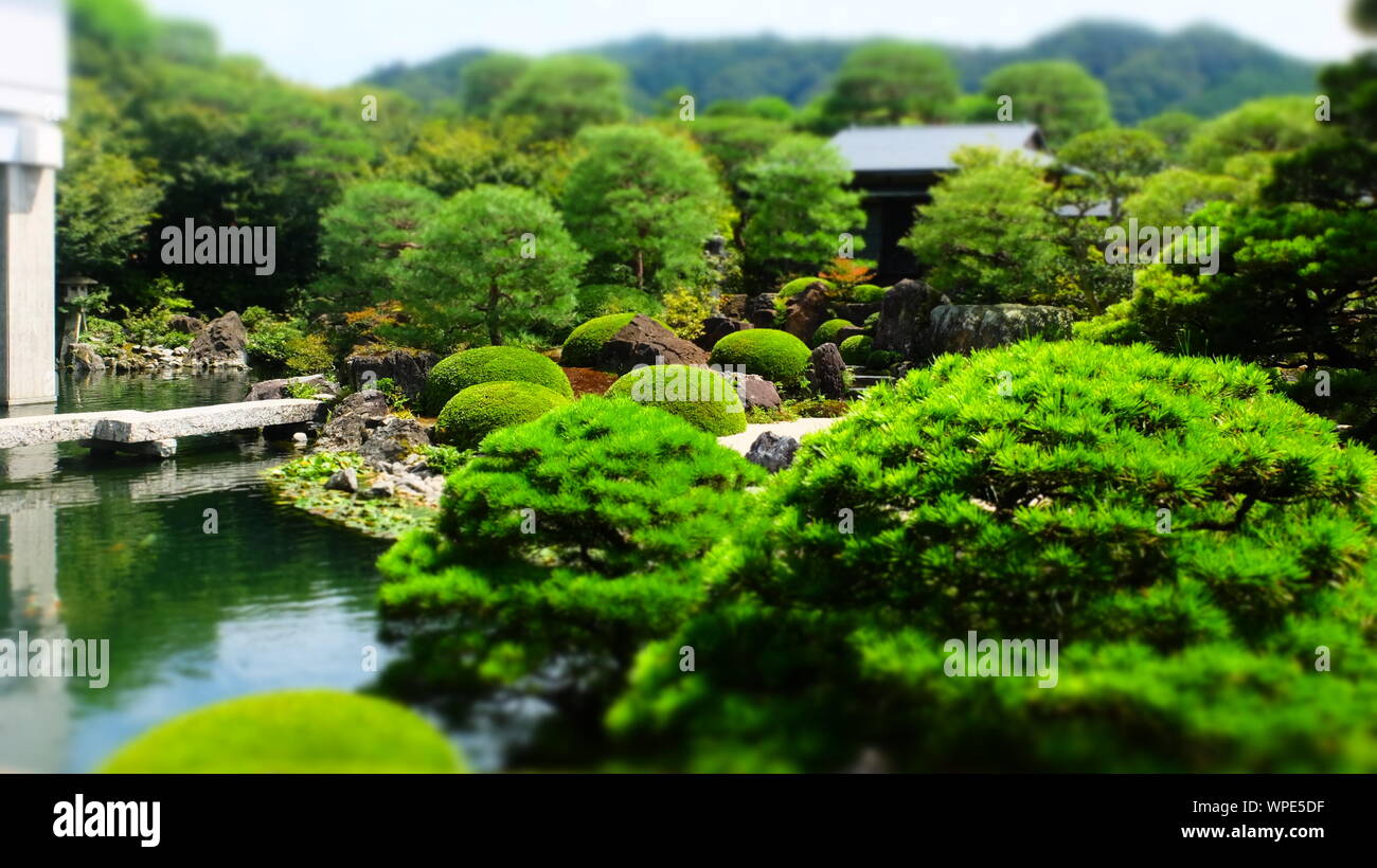 Giardini in Adachi Museum of Art Foto Stock