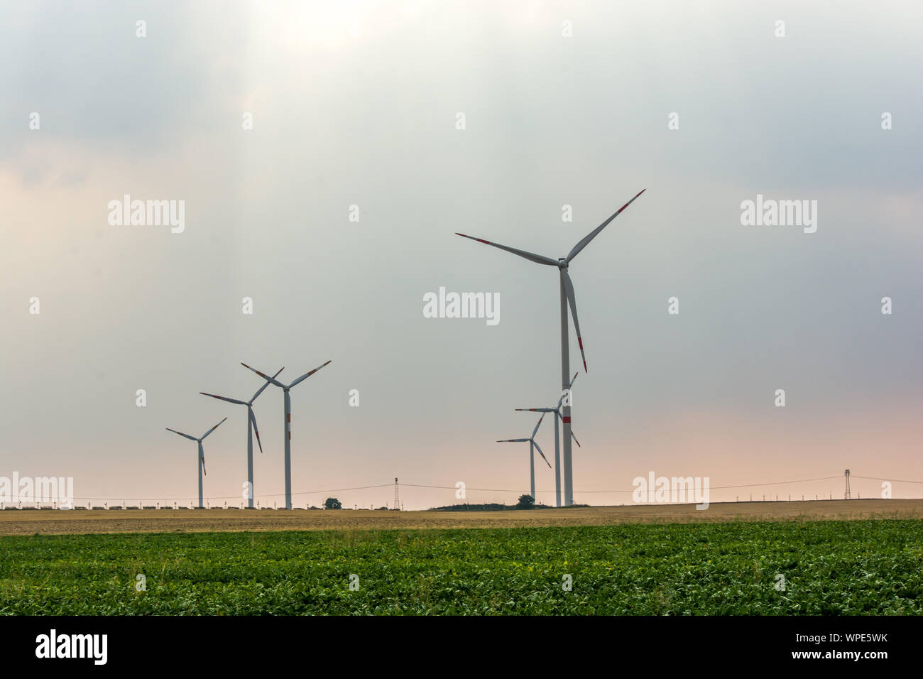 Wind Farm su un campo di sera sun Foto Stock