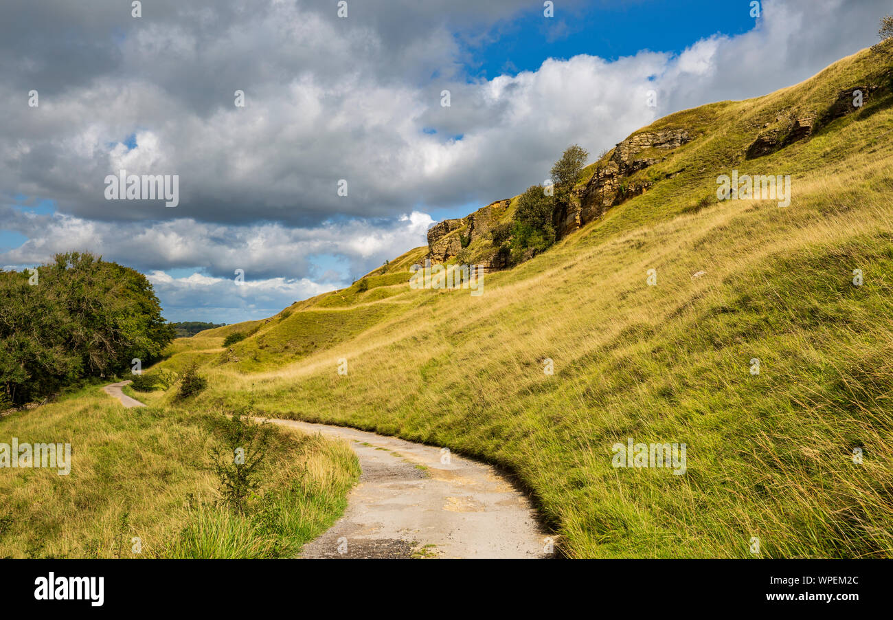 Cleeve Hill scarpata e la vecchia strada di Cava nei pressi di Cheltenham, Inghilterra Foto Stock Cleeve Hill scarpata e la vecchia strada di Cava nei pressi di Cheltenham, Inghilterra Foto Stock