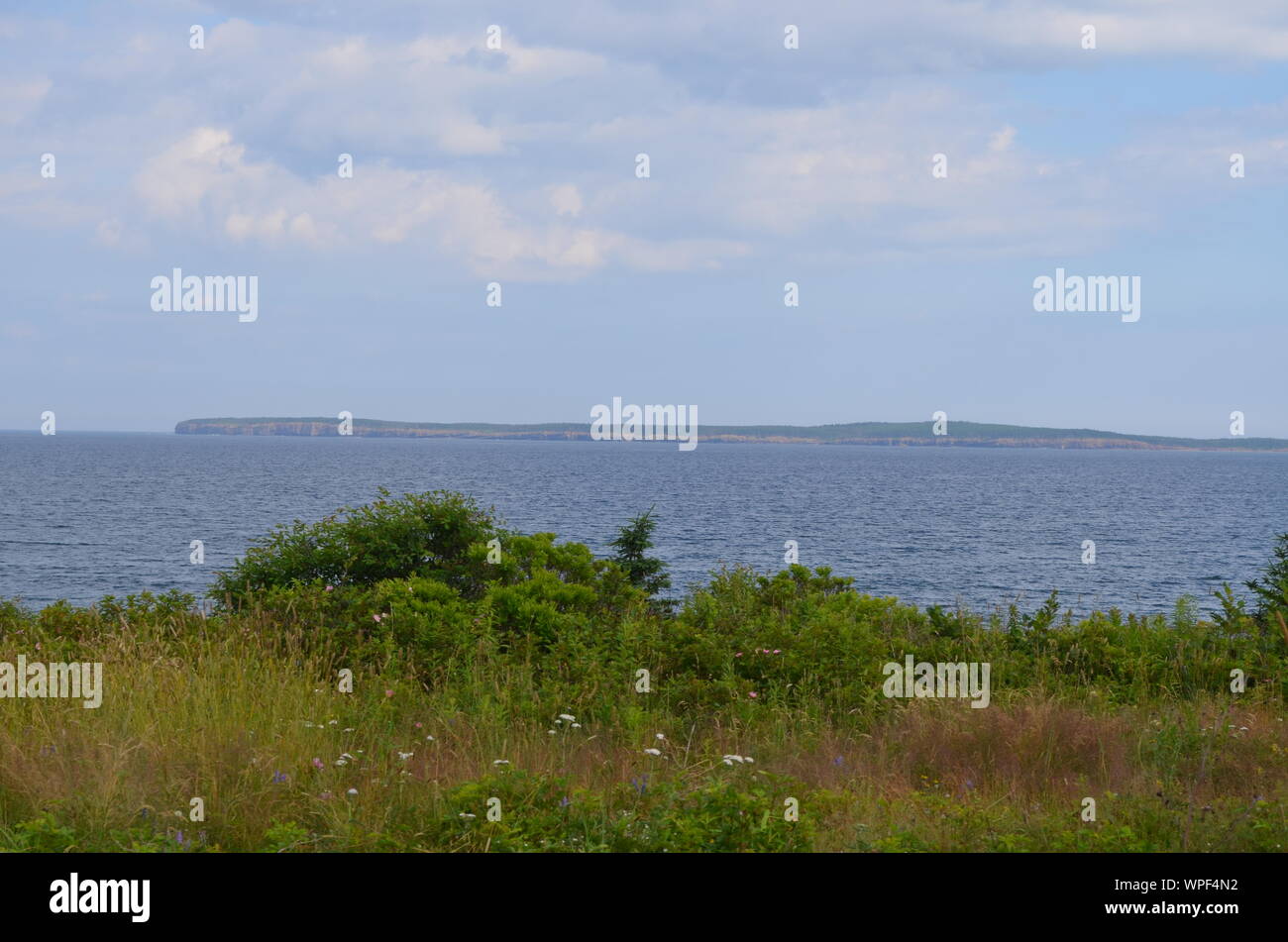 Estate in Nova Scotia: guardando attraverso Morien Bay dal porto Morien a South Head Foto Stock