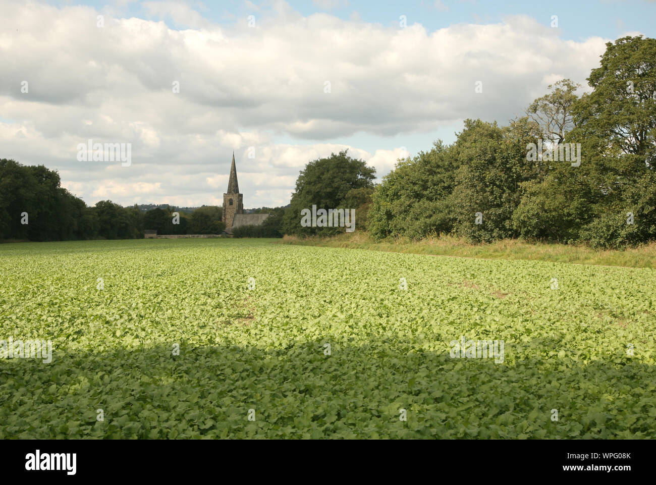 Il paesaggio di un campo in Duffield con Duffield chiesa parrocchiale di background, Derbyshire, Regno Unito Foto Stock