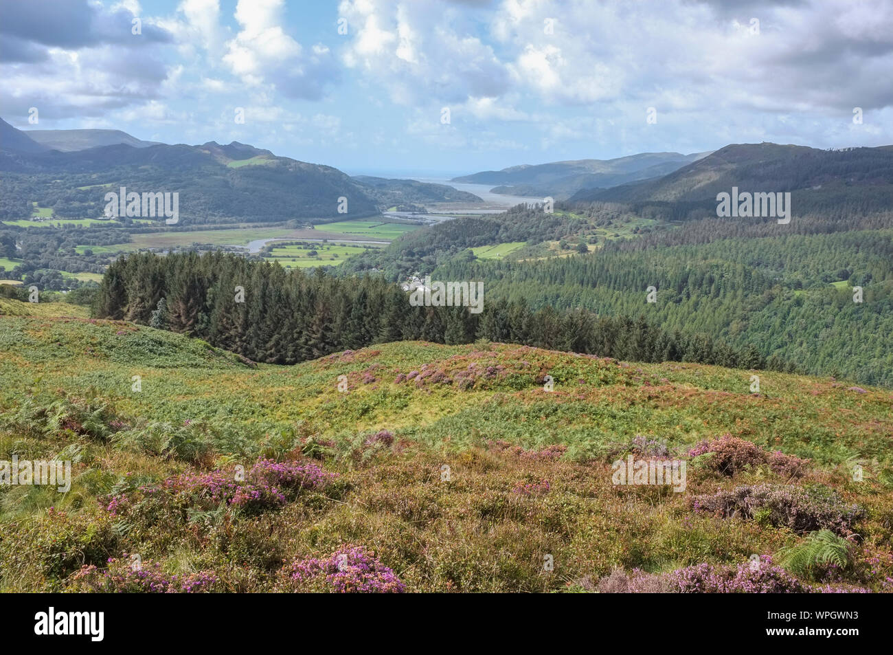 L'Estuario Di Mawddach E Il Fiume Mawddach (Afon Mawdddach) Dal Sentiero Dei Precipizi, Il Parco Nazionale Di Snowdonia, Il Galles Del Nord, Il Regno Unito Foto Stock