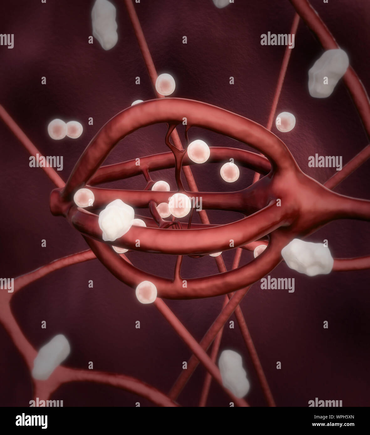 I neuroni e sistema neurale, attivo di cellule nervose umane nel sistema neurale, impulsi di neurone, il premistoppa produrre ormone Foto Stock
