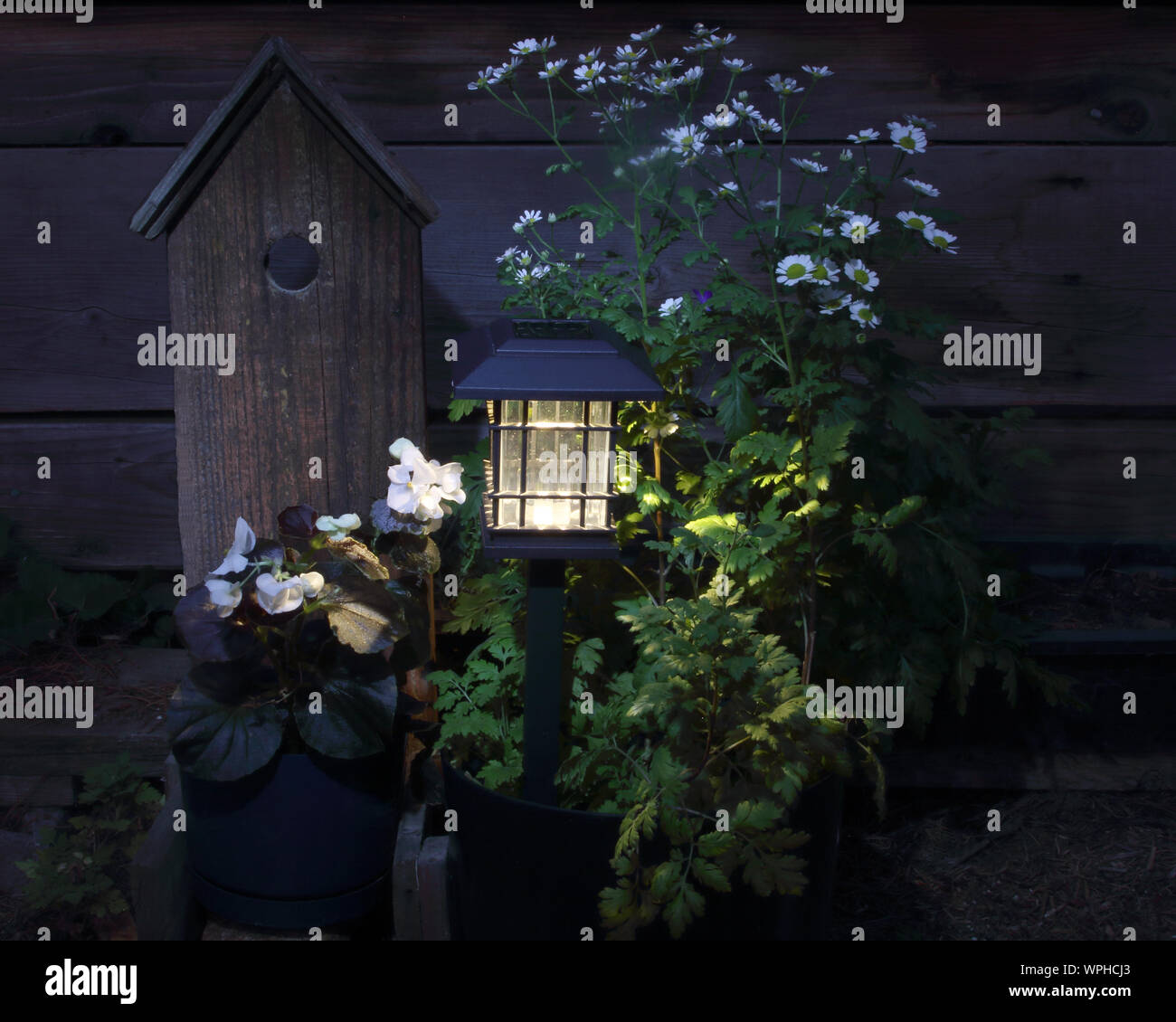 Un solare lanterna si diffonde un po' di luce sulla febbre pochi fiori e un fake birdhouse come le tenebre della sera si chiude. Foto Stock