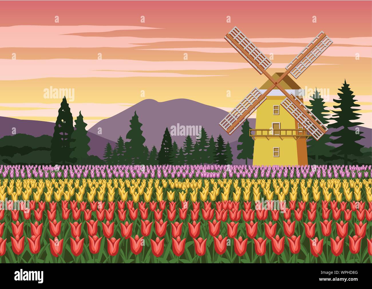 Tulip garden,famoso simbolo di Olanda e il mulino a vento intorno con la sua bella natura,vintage color,illustrazione vettoriale Illustrazione Vettoriale