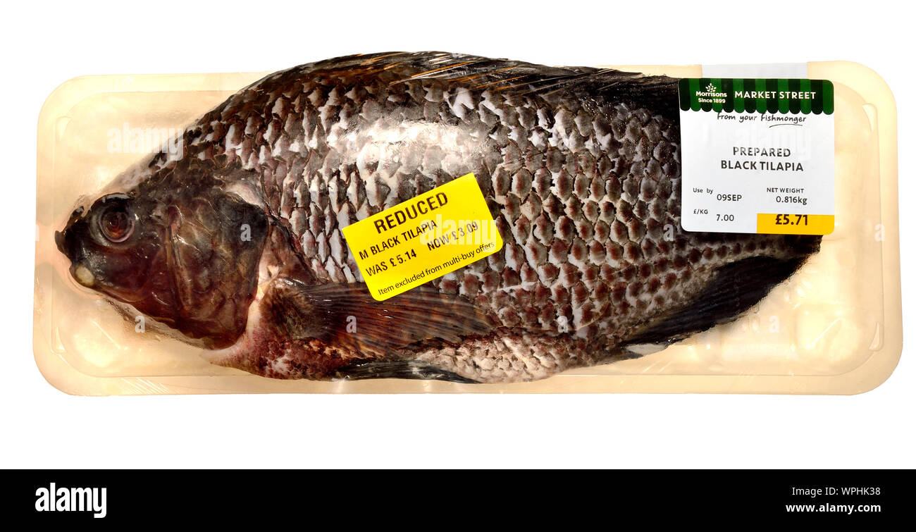 Il nero di pesci di Tilapia acquistato da un supermercato britannico Foto Stock