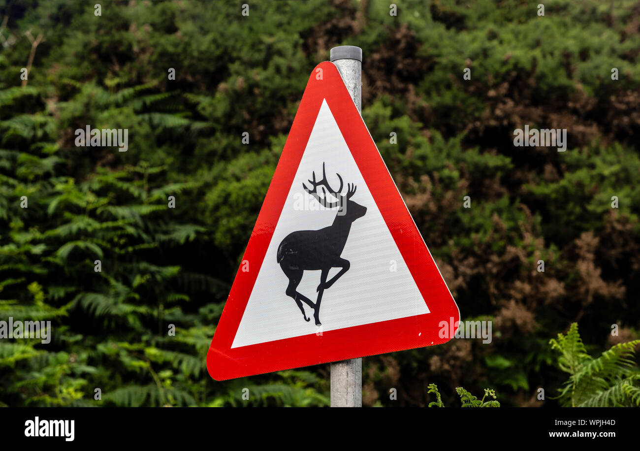 Segno di traffico per la protezione della fauna selvatica Foto Stock