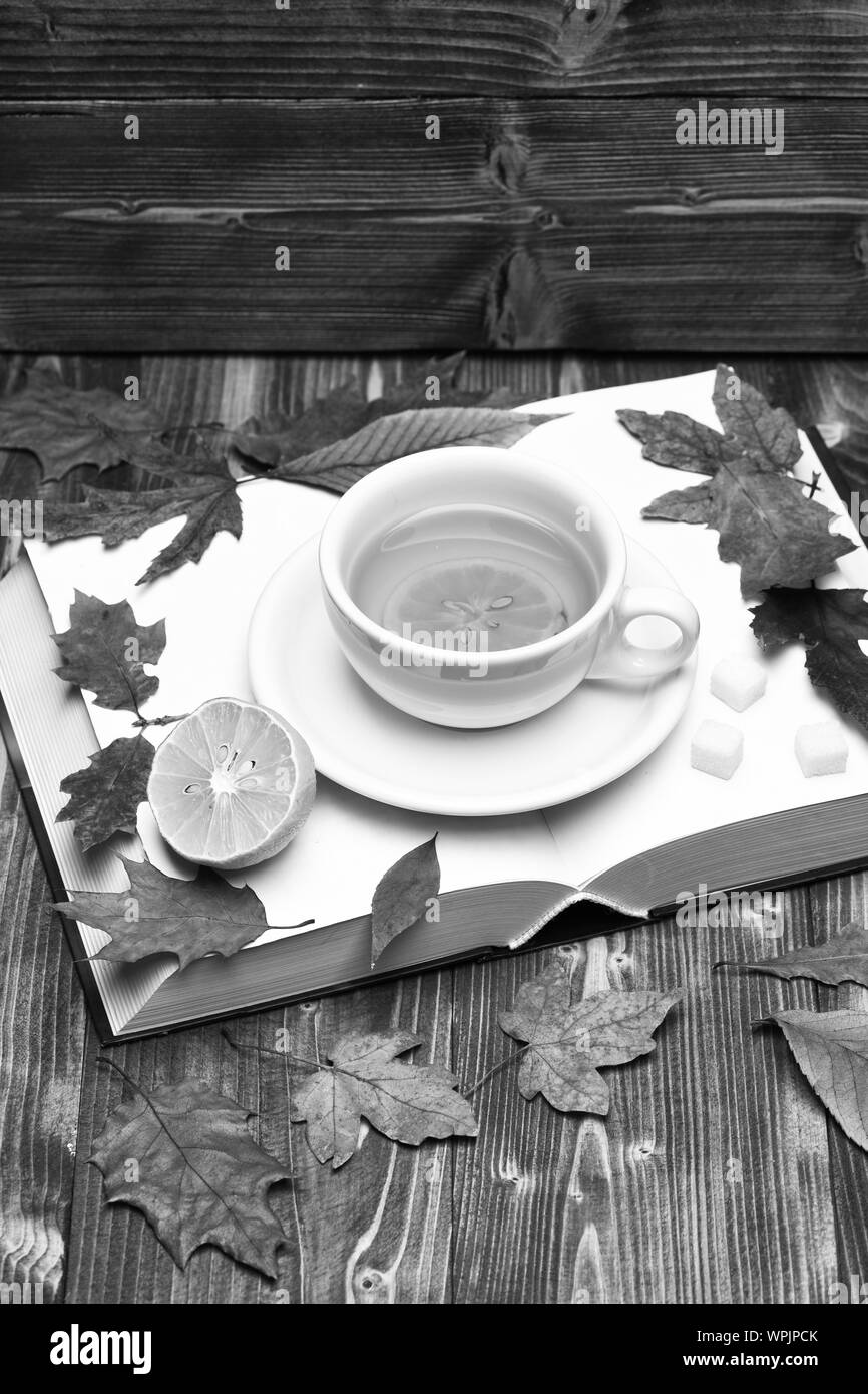 Tazza di tè con foglie di autunno sfondo su un tavolo di legno. Caduta il concetto di tè. Bevanda calda con cubetti di zucchero immessi sul libro aperto Foto Stock