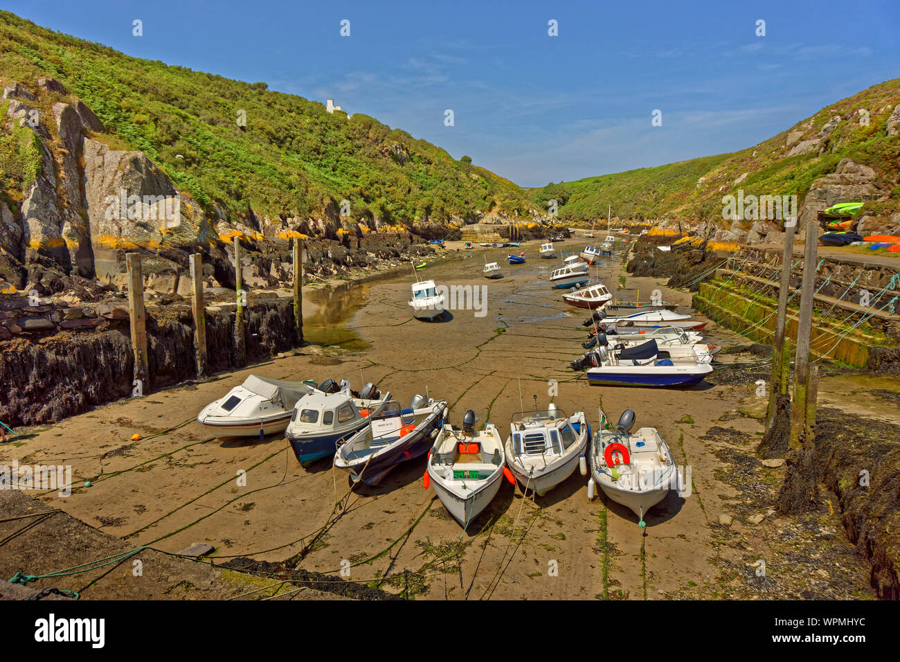 Porthclais porto vicino la città di St David's, Pembrokeshire, Wales, Regno Unito. Foto Stock