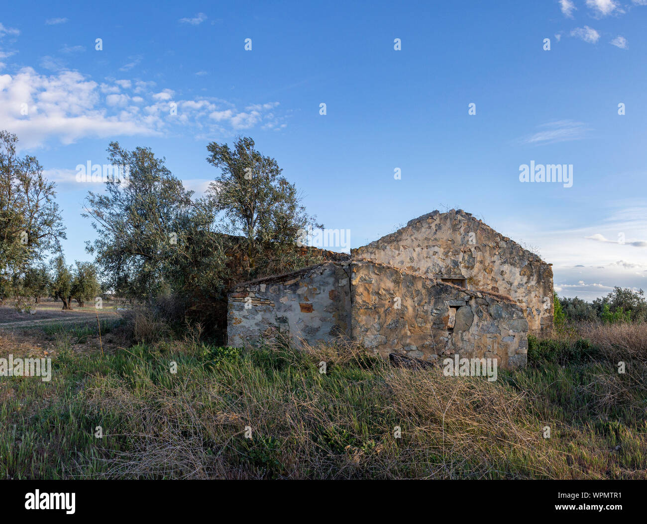 Fattoria abbandonata in un frutteto Foto Stock