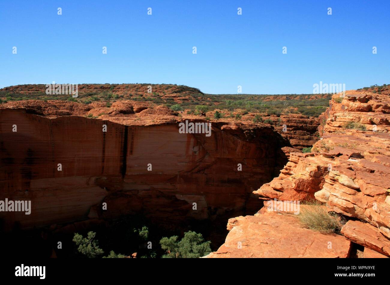 Escursionismo al Kings Canyon, Watarrka National Park, Outback, Territorio del Nord, l'Australia Foto Stock