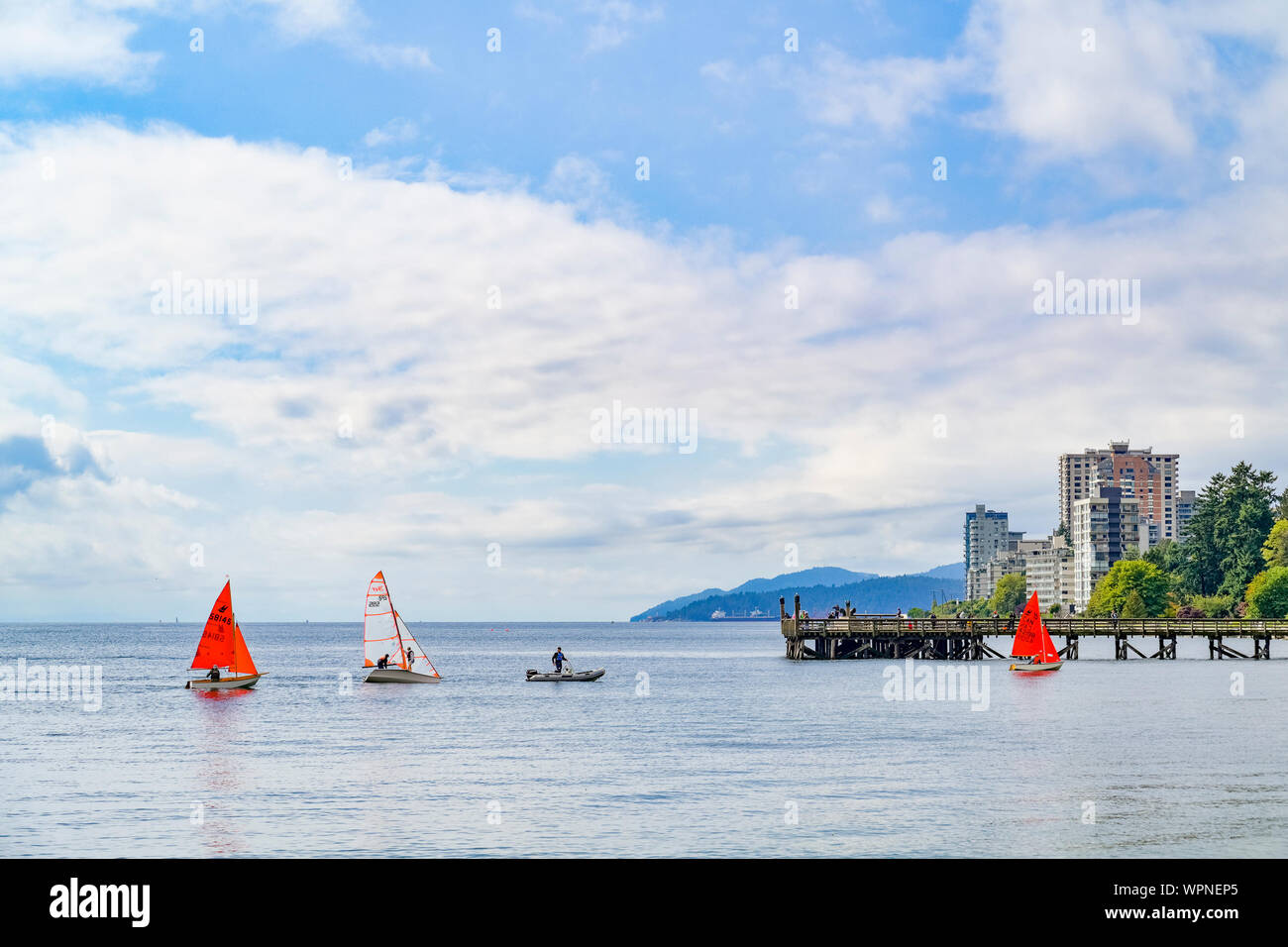 Barche a vela, Ambleside, Vancouver Ovest, British Columbia, Canada Foto Stock