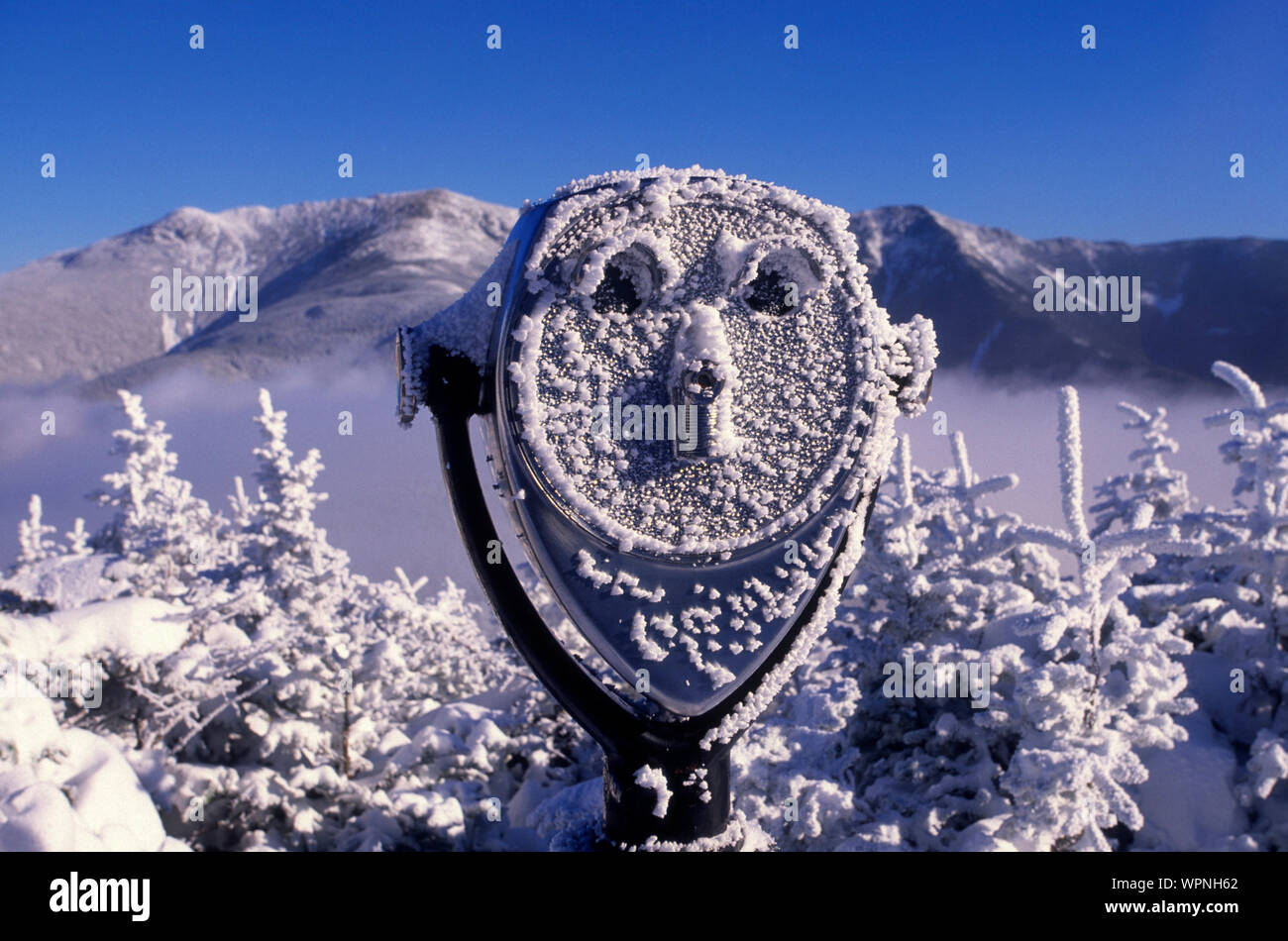 Mister Frosty viewer sul Cannon Mountain Foto Stock