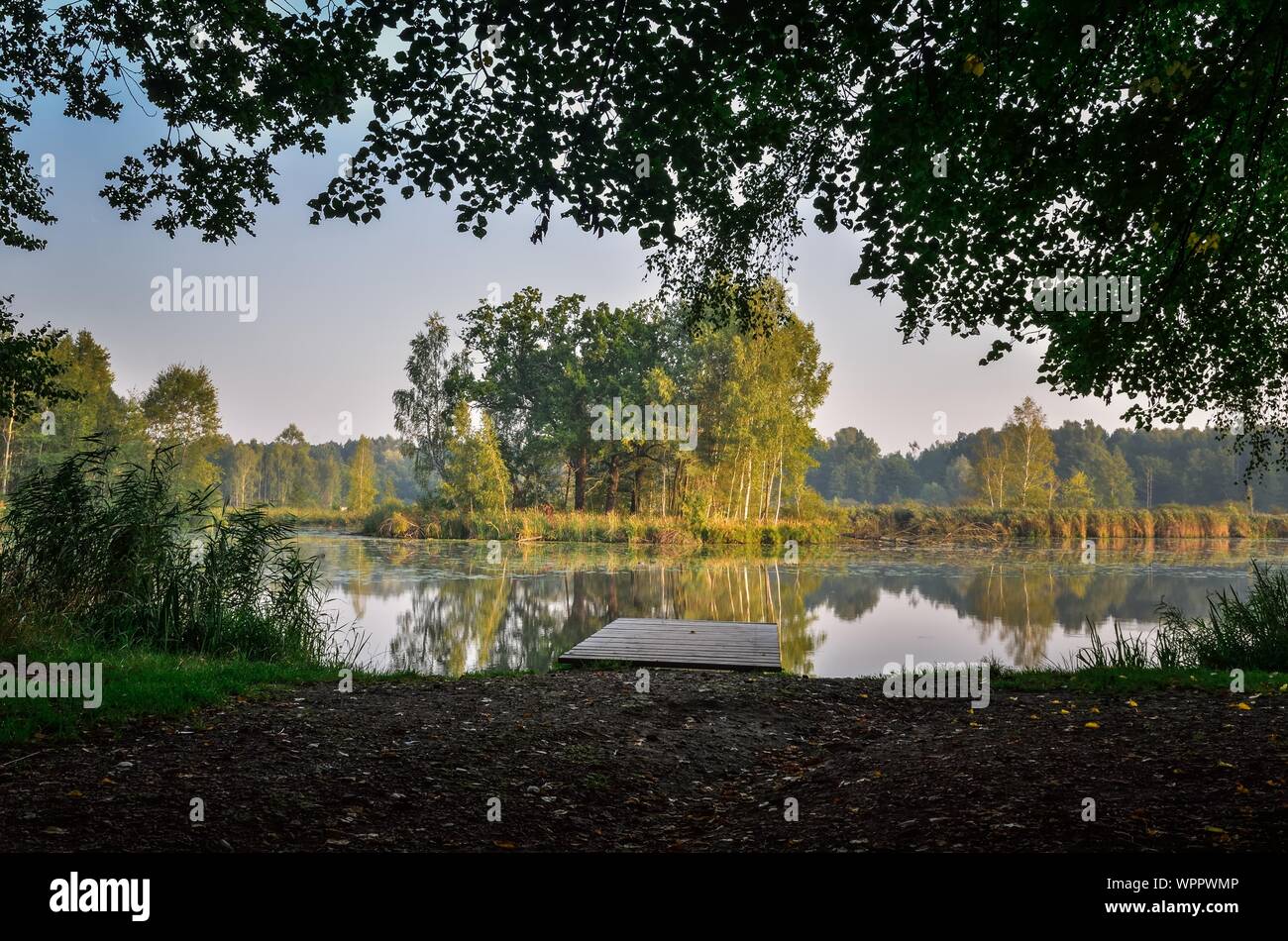 Bella estate verde paesaggio. Legno piccolo molo sulla riva del lago. Foto Stock