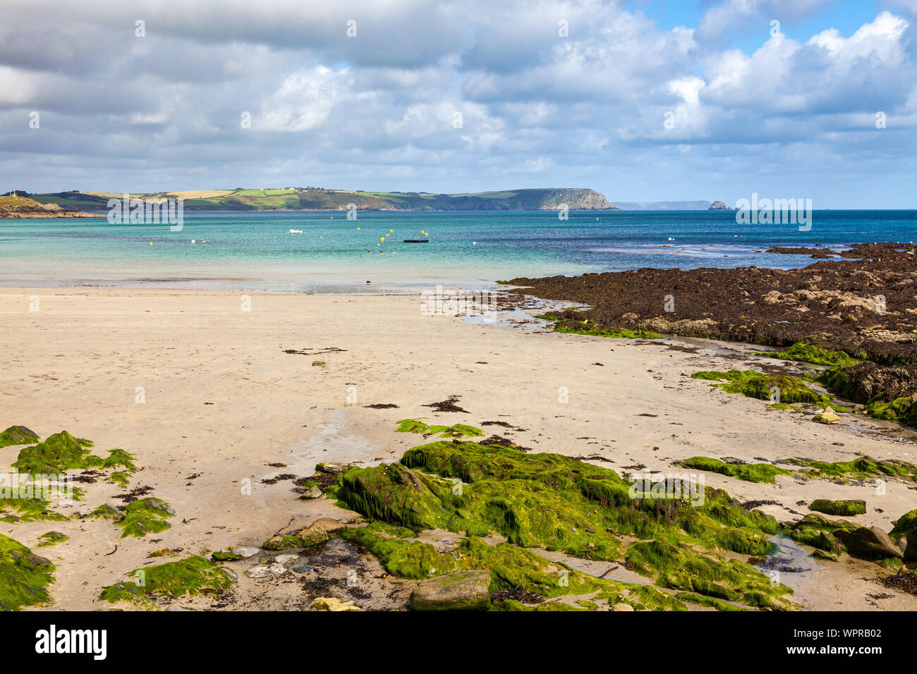 Viste della baia di Gerrans da Portscatho Cornwall Inghilterra UK Europa Foto Stock