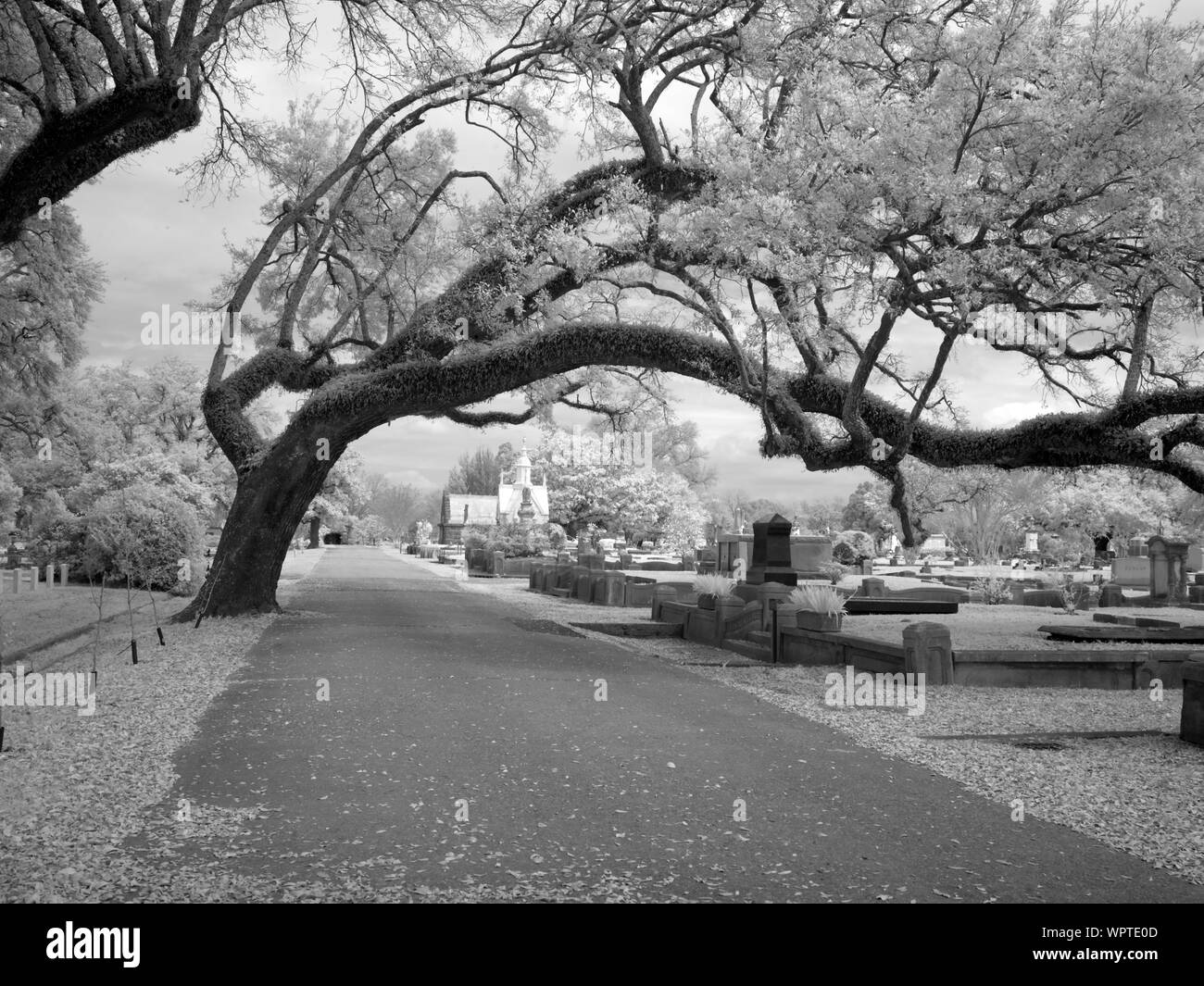 Cimitero di Magnolia, Mobile, Alabama Foto Stock