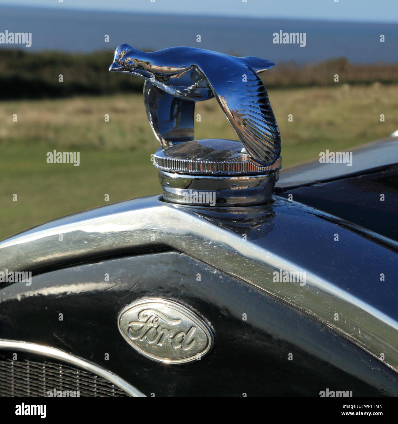 Ford Modello Coupé, annata 1931, il tappo di riempimento, dettaglio, volo di uccelli, automobile, American Foto Stock