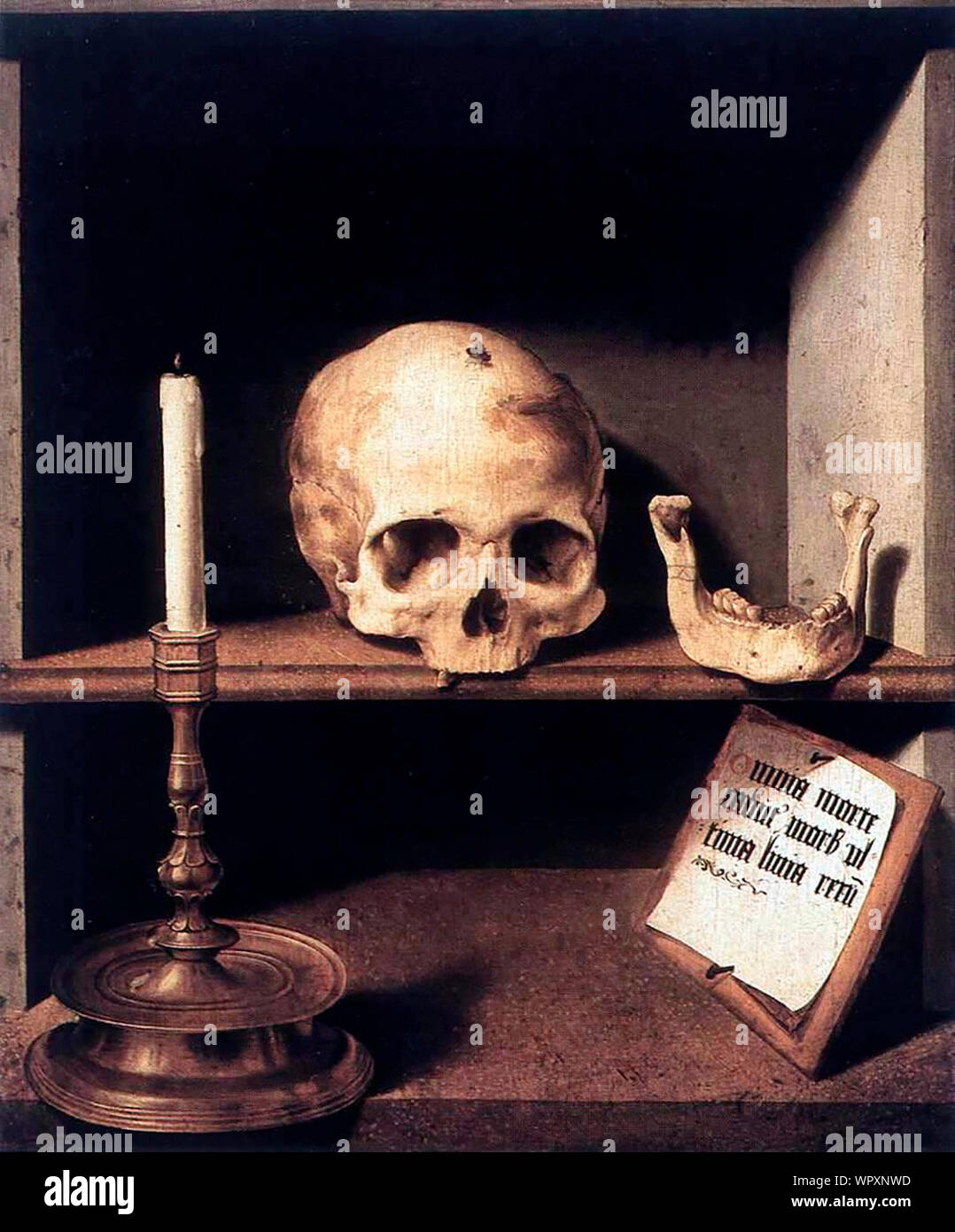 Vanitas Still-Life - Barthel Bruyn il sambuco, circa 1524 Foto Stock