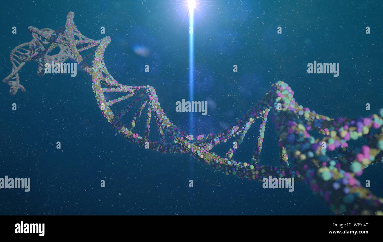 Molecola di DNA a doppia elica in acqua Foto Stock
