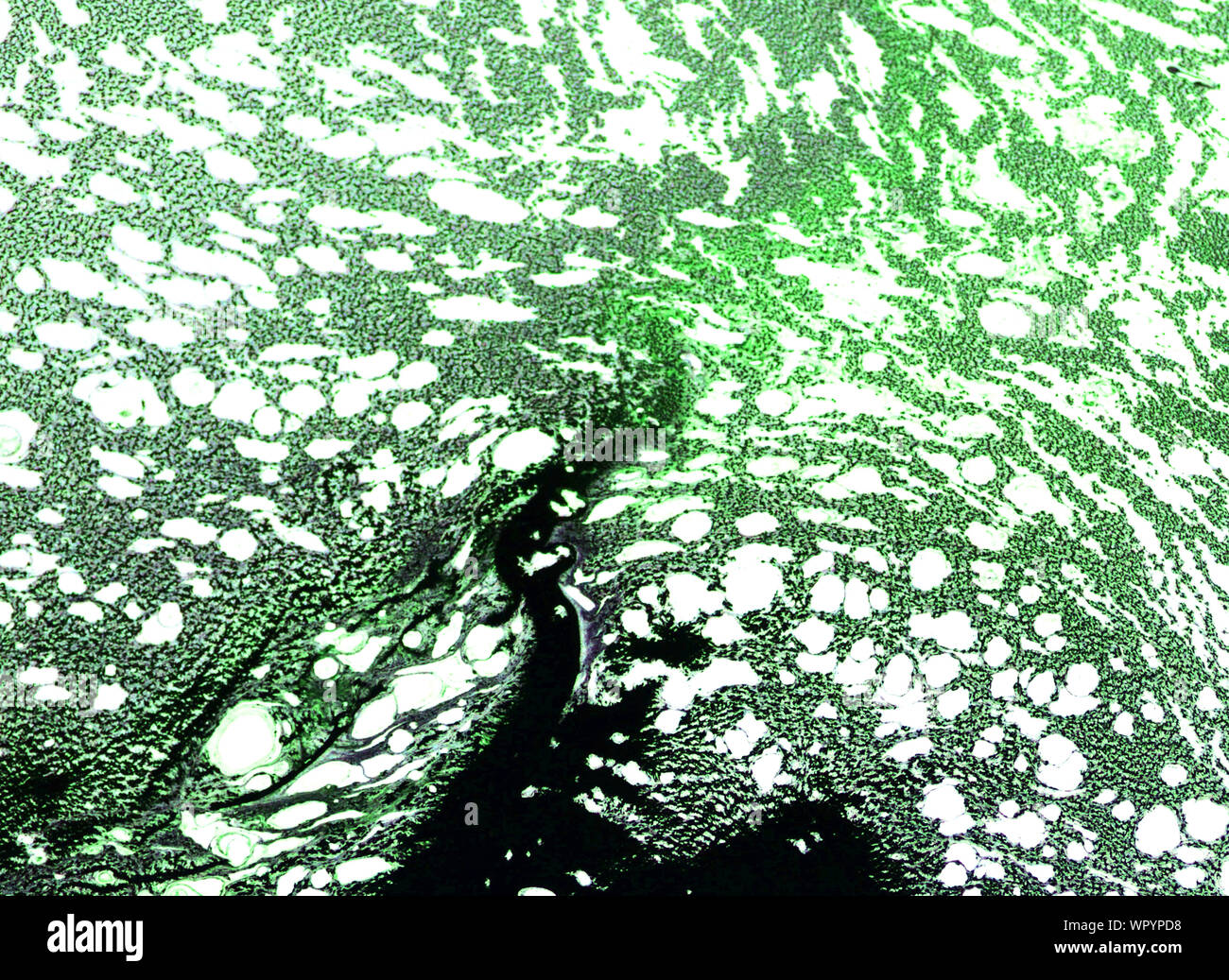 Vecchio senza giunture di colore sfondo grunge. Modello di parete macchia, crepe, punti, macchie, chip. Nizza alterò la texture di sfondo, banner, sfondo Foto Stock