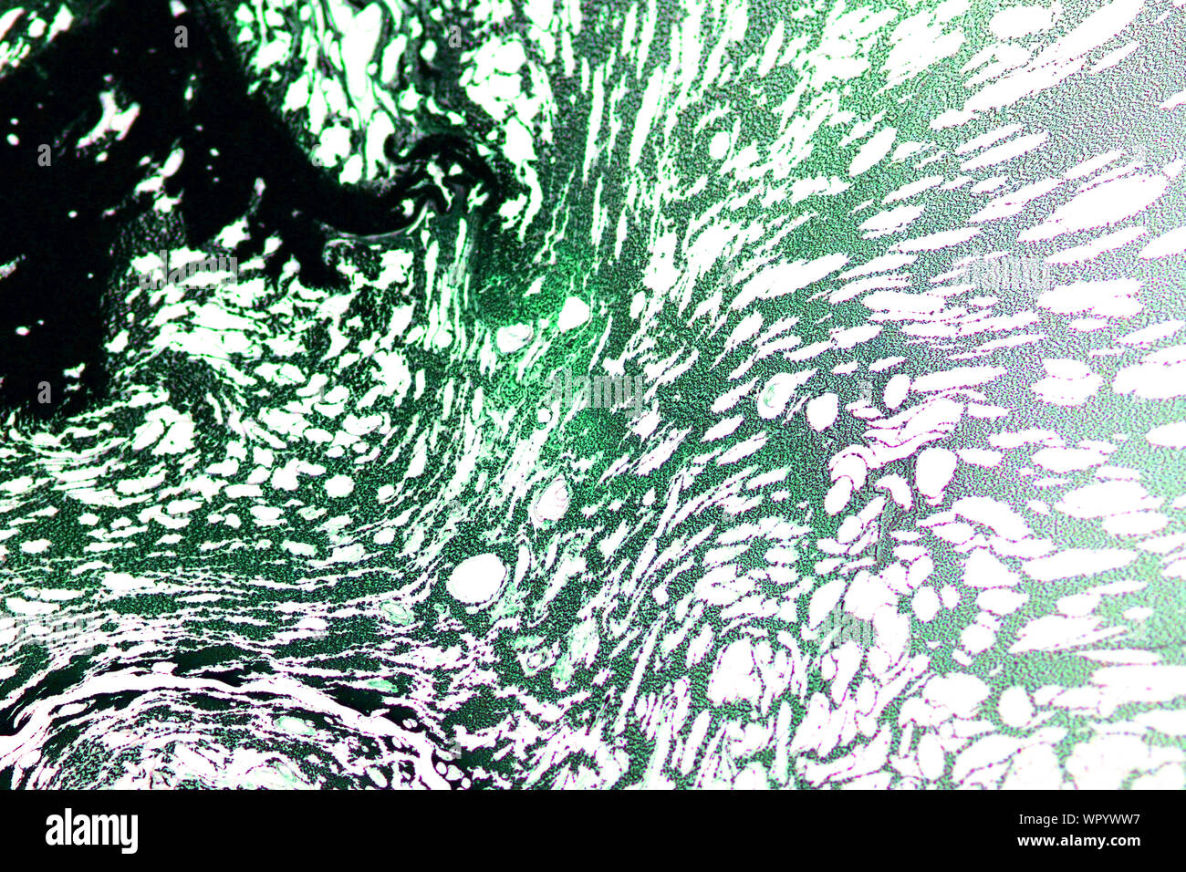 Vecchio senza giunture di colore sfondo grunge. Modello di parete macchia, crepe, punti, macchie, chip. Nizza alterò la texture di sfondo, banner, sfondo Foto Stock