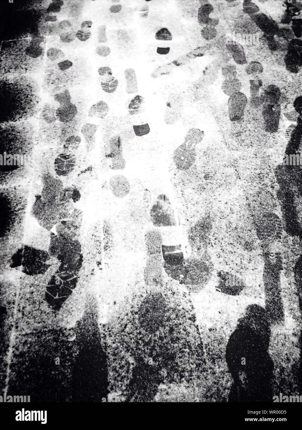 Le impronte sul pavimento di legno ricoperta di farina Foto stock - Alamy