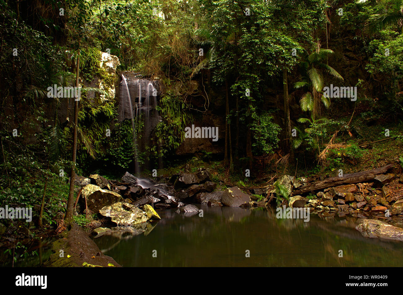 Una piccola cascata in una foresta Foto Stock