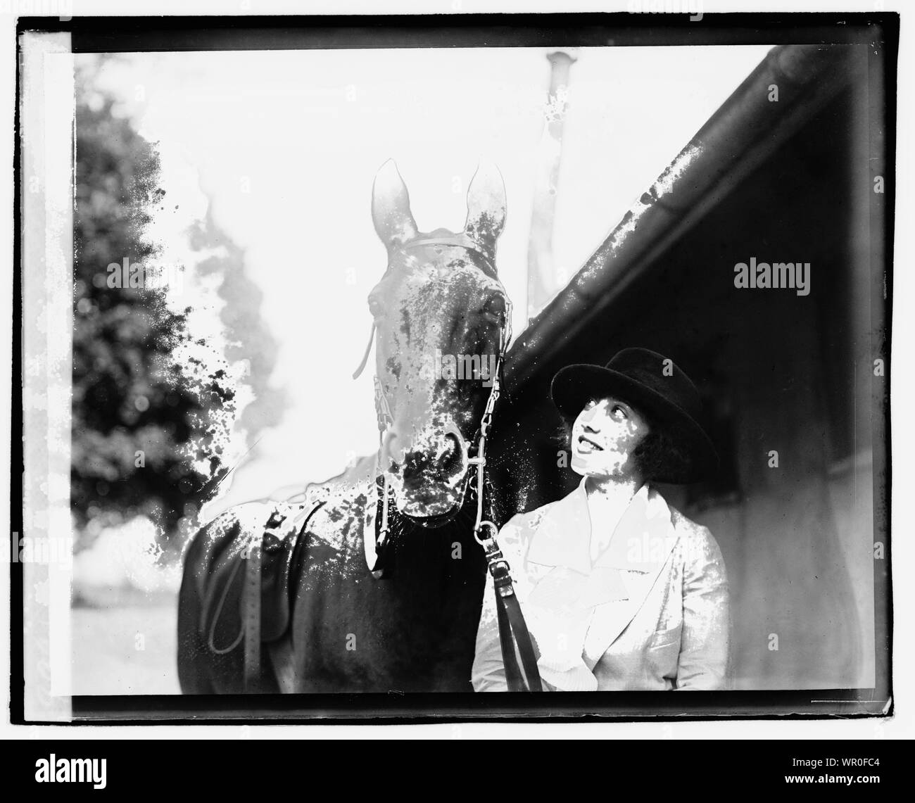 Margot Fiske Foto Stock