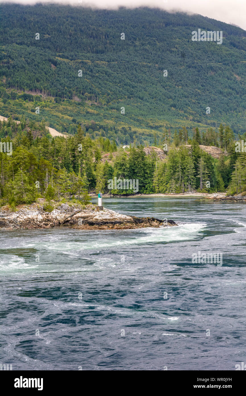 Turbolenti, veloce e pericolose rapide di marea ad alta marea, Punto Nord, Skookumchuck si restringe, British Columbia, Canada. Foto Stock