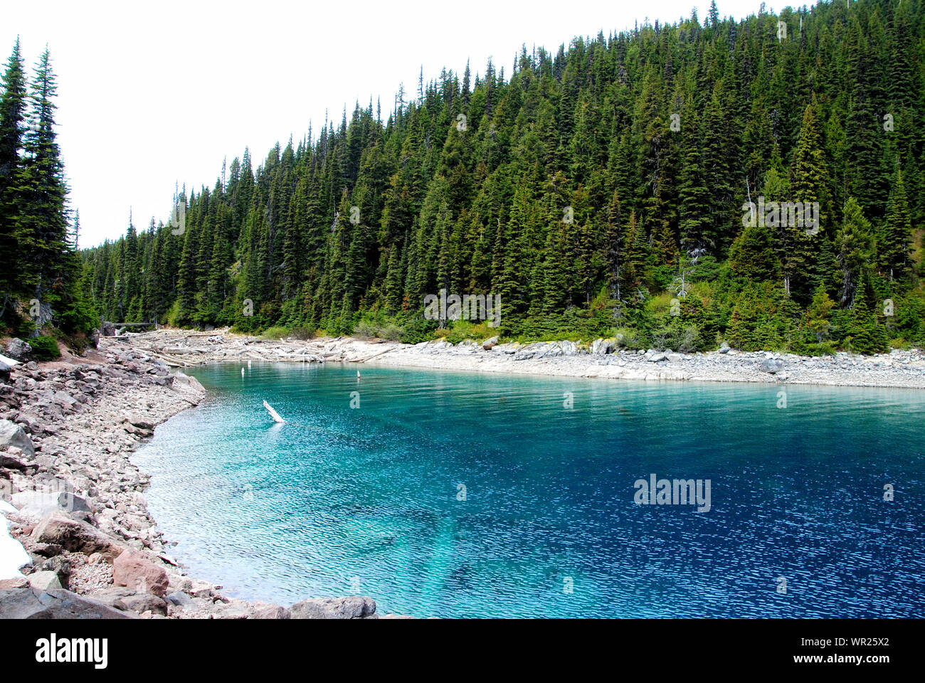 Vivace e sorprendente turchese e blu lago Garibaldi, con la foresta di conifere, sul sentiero in Garibaldi Provincial Park, British Columbia, Canada Foto Stock
