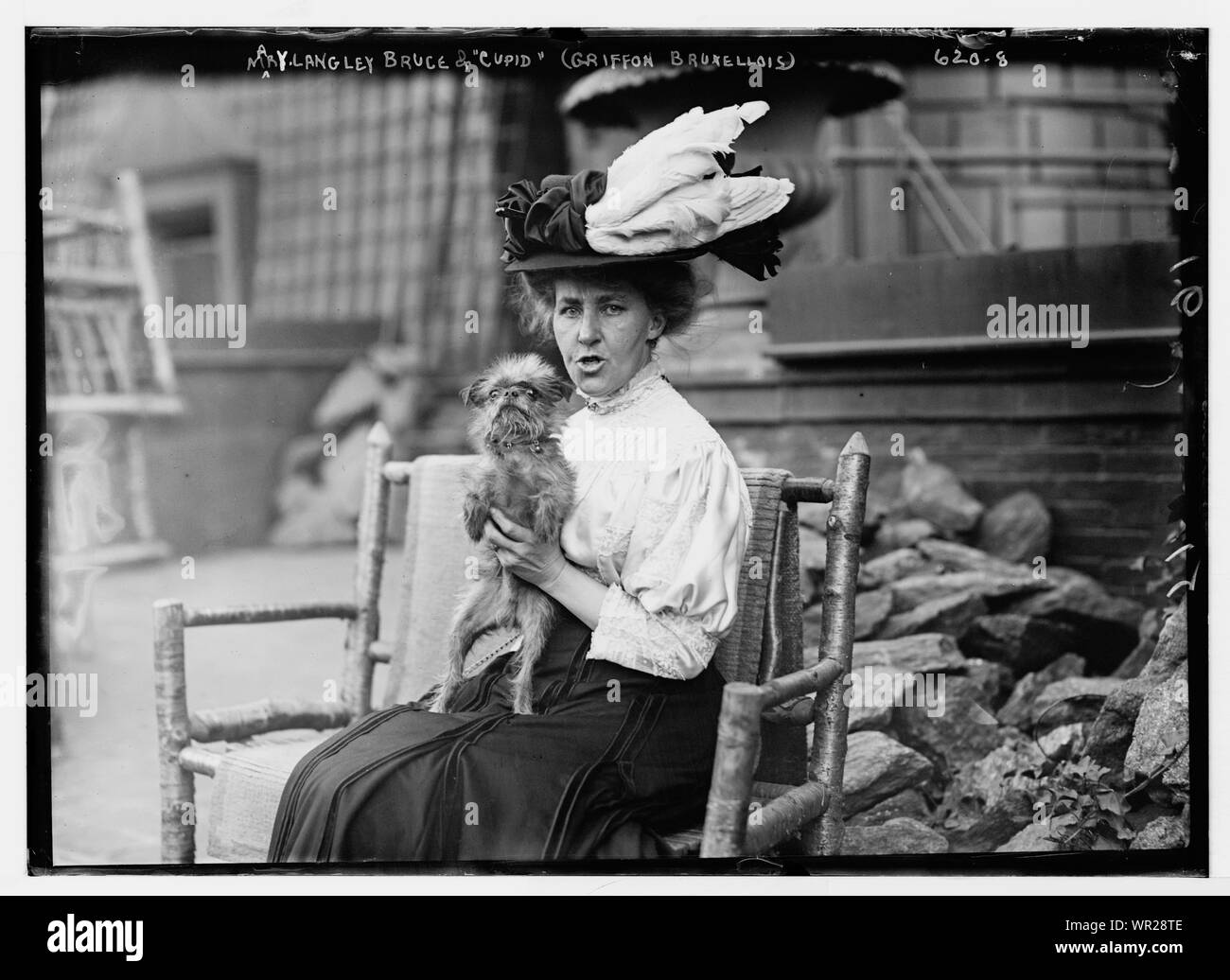 Maria Langley Bruce & Cupido (Griffon Bruxellois) Foto Stock