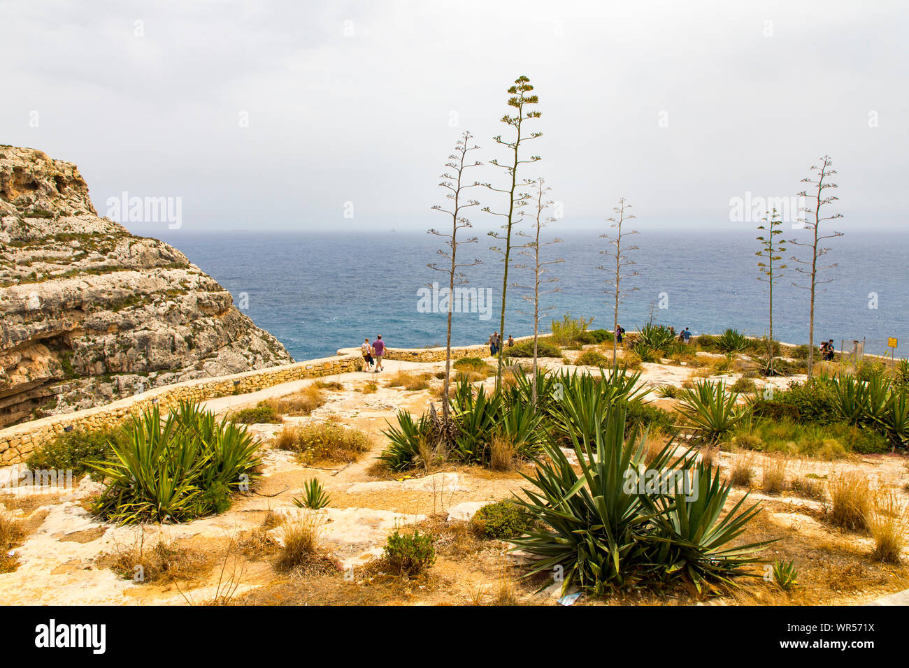 Costa Sud di Malta, ripida costa, Blue Grotto, nei pressi di Zurrieq, Foto Stock