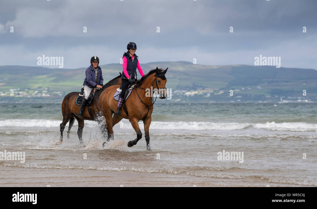 I piloti che esercitano i loro cavalli sul bordo di mare sulla spiaggia di benone, Irlanda del Nord, Regno Unito. Foto Stock