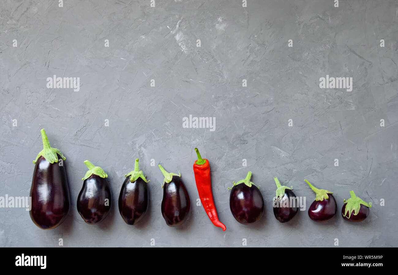 Mature di melanzane e uno di peperoncino sono disposti in una fila su sfondo grigio. Vista dall'alto. Foto Stock