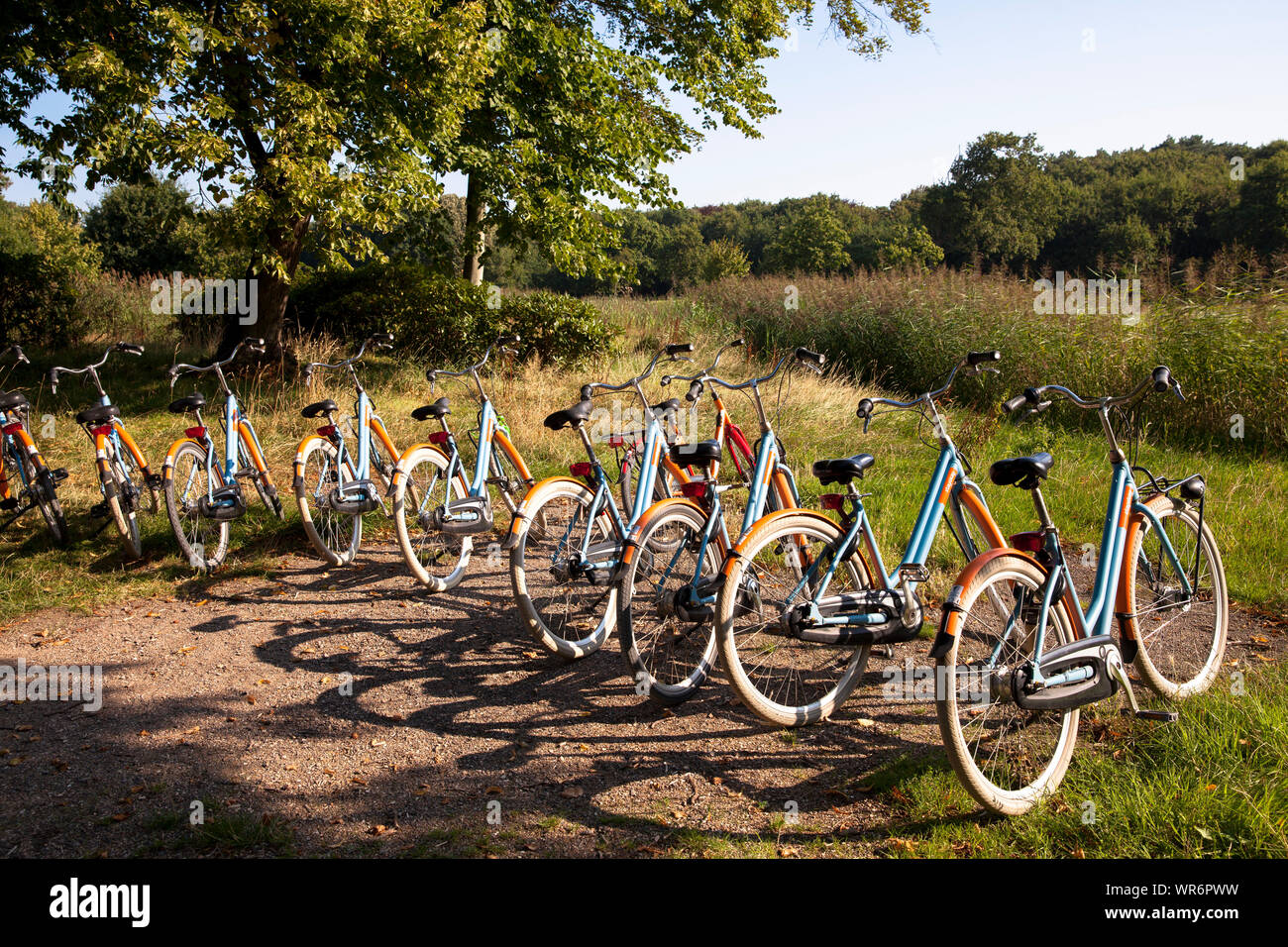 Noleggio biciclette in Domburg sulla penisola di Walcheren, Zeeland, Paesi Bassi. Leihfahrraeder in Domburg auf Walcheren, Zeeland, Niederlande. Foto Stock